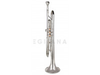 wisemann-dtr-400-sp_6022a018c7af8.jpg