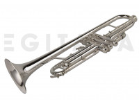 wisemann-dtr-400-sp_6022a019a1ac1.jpg