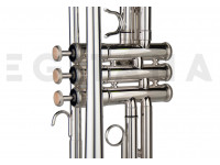 wisemann-dtr-400-sp_6022a02237641.jpg