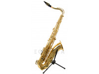 wisemann-dts-350_6061fa489b9f1.jpg