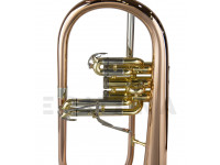 wisemann-flh-600_602180500295c.jpg