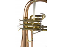 wisemann-flh-600_6021805cb9857.jpg