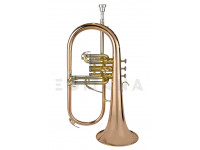 wisemann-flh-600_6021805de4254.jpg