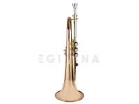 wisemann-flh-600_6021806024d2a.jpg