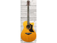 yamaha-ac5m-are_60538c269f99c.jpg