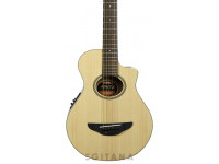 yamaha-apx-t2-nt_611ce791c1271.jpg