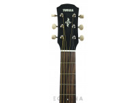 yamaha-apx-t2-nt_611ce793c67e7.jpg