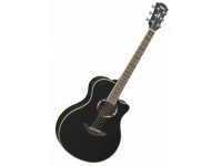 yamaha-apx500iii-bl_58dbec8a943b1.jpg