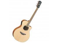 yamaha-apx500iii-nt_58594eb97f525.jpg