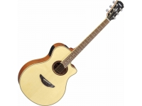 yamaha-apx700ii-nt_5d25b05fe7914.jpg