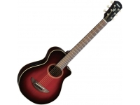 yamaha-apxt2-dr_5b59e81d9e2d7.jpg