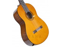 yamaha-c40_5f89a0d552258.jpg