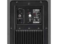 yamaha-dsr-115_591f103e243ca.jpg