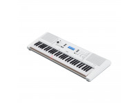 yamaha-ez-300_60b4ec9af0fb3.jpg