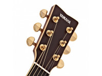 yamaha-ls-ta-transacoustic-vt-vintage-tint_63c185ffacfc0.jpg