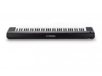 yamaha-np-31-piaggero_563b9f12be0a0.jpg