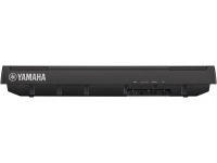 yamaha-p-121-bk_5c096dda7207f.jpg