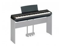 yamaha-p-125-bk_6093fa8cce8ef.jpg