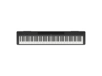 yamaha-p-145-b_64abc56feff72.jpg