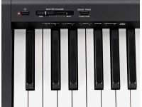 yamaha-p-45_563dd13a9362b.jpg
