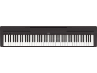yamaha-p-45_5ad7616fe00aa.jpg